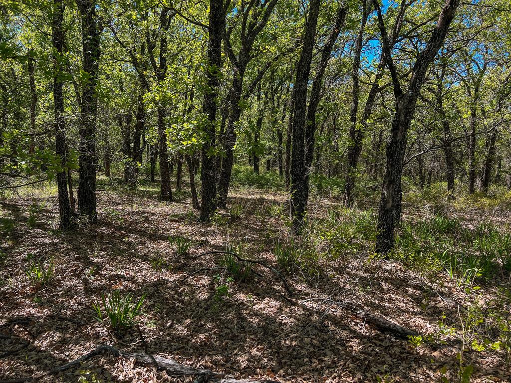 Francis Hickax - Farm