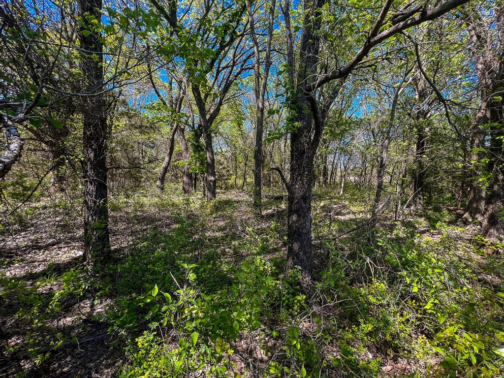 Francis Hickax - Farm