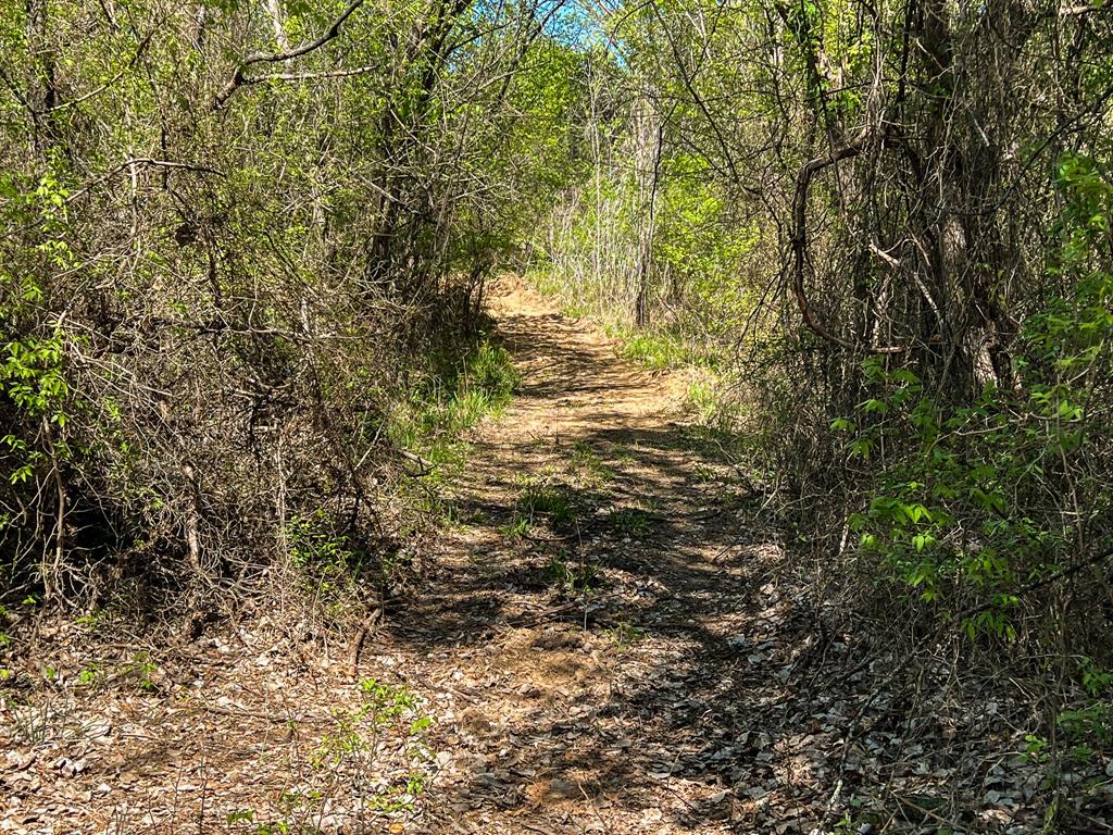 Francis Hickax - Farm