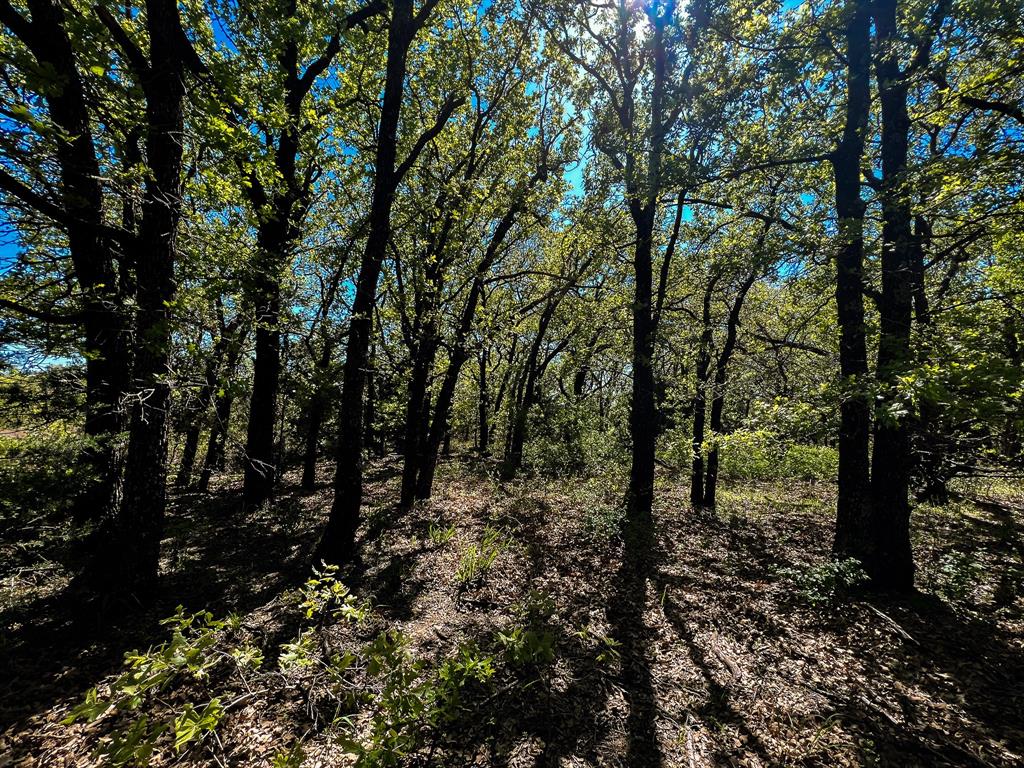 Francis Hickax - Farm