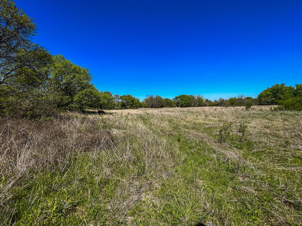 Francis Hickax - Farm