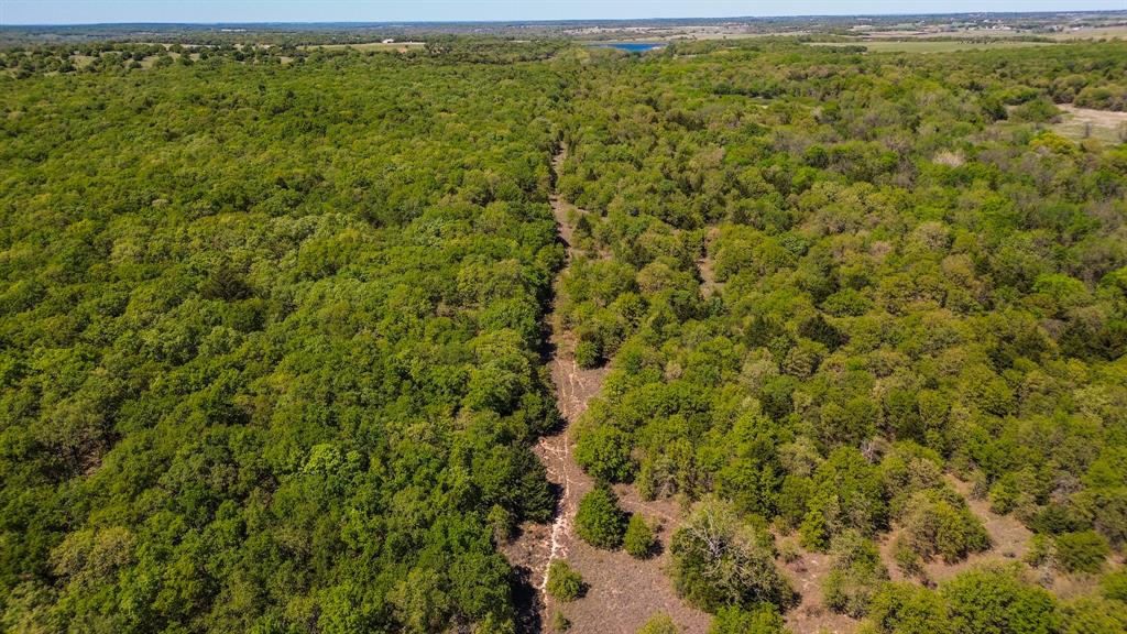 Francis Hickax - Farm