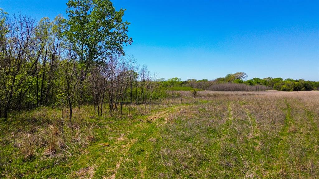 Francis Hickax - Farm