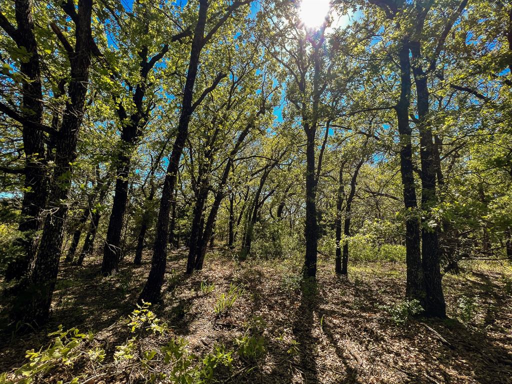 Francis Hickax - Farm