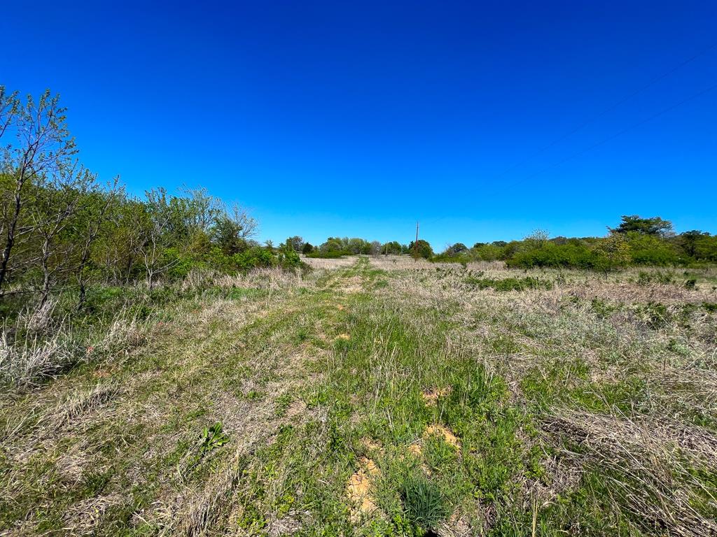 Francis Hickax - Farm