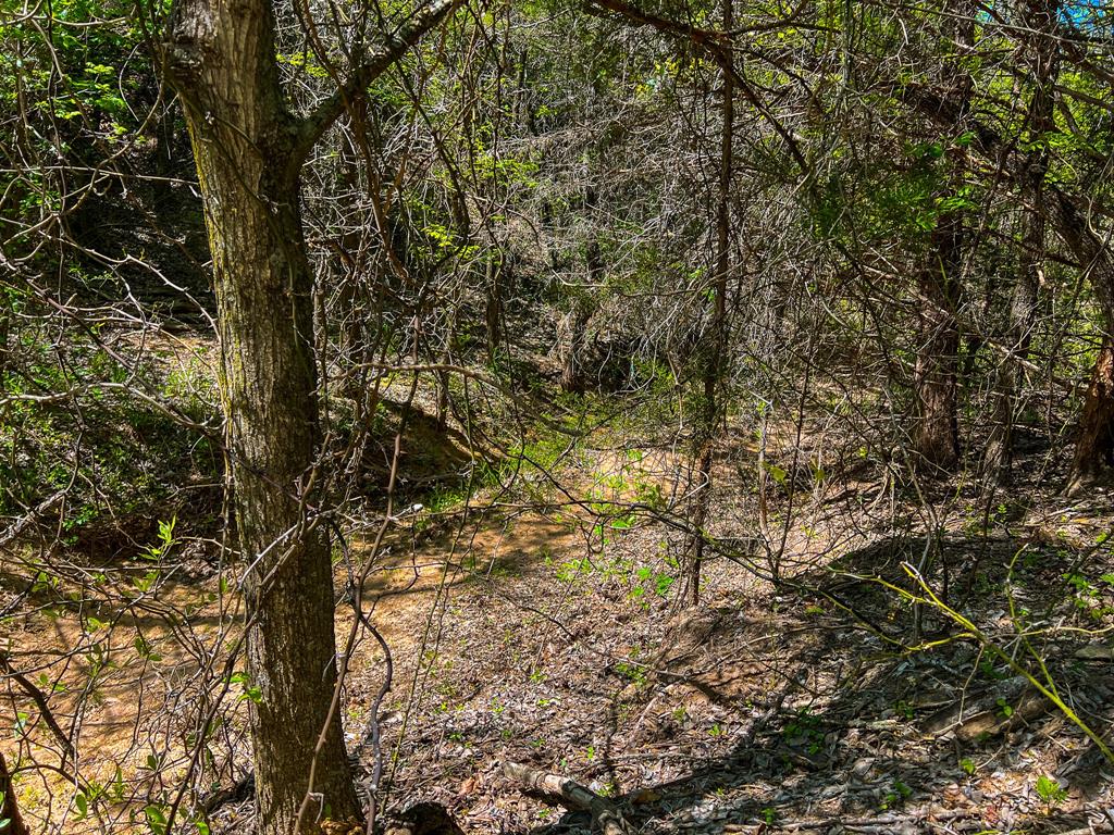 Francis Hickax - Farm