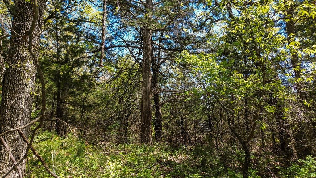 Francis Hickax - Farm