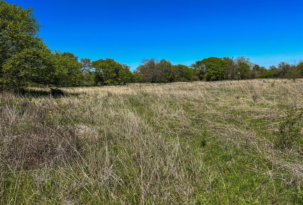 Francis Hickax - Farm