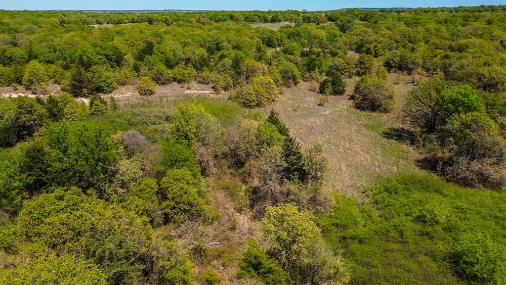 Francis Hickax - Farm