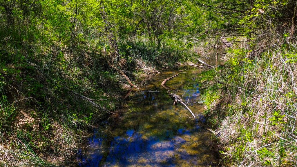 Francis Hickax - Farm