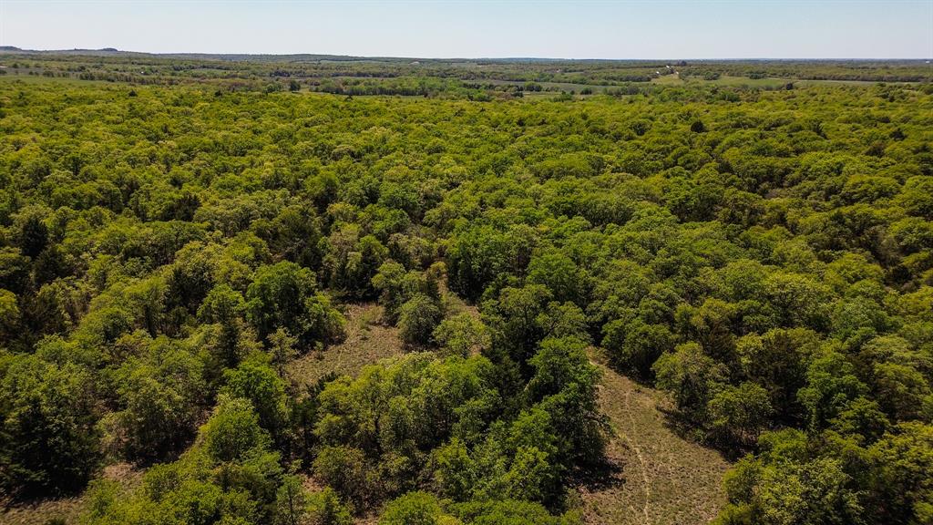 Francis Hickax - Farm