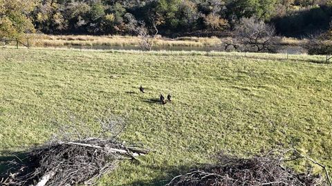 124 Wooded Acres Drive Mineral Wells TX 76067