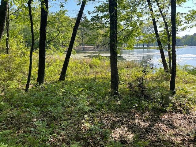 Horseshoe Bend - Residential