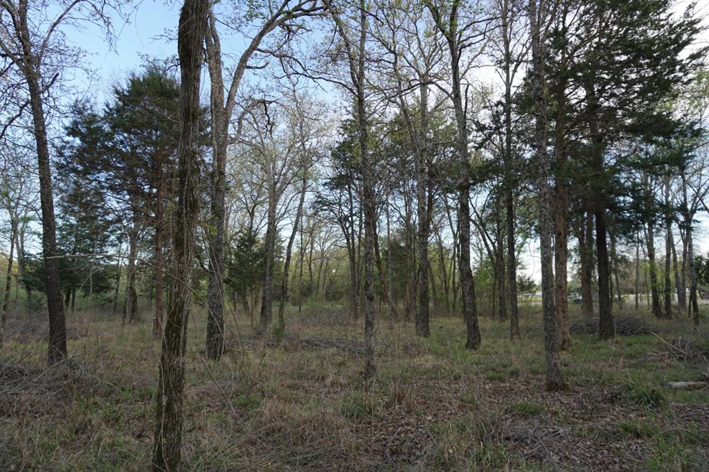 Forest Grove Sub Ph 1 - Land