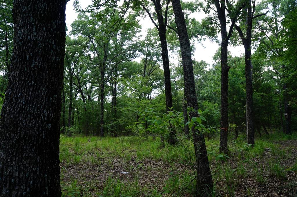 Forest Grove Sub Ph 1 - Land