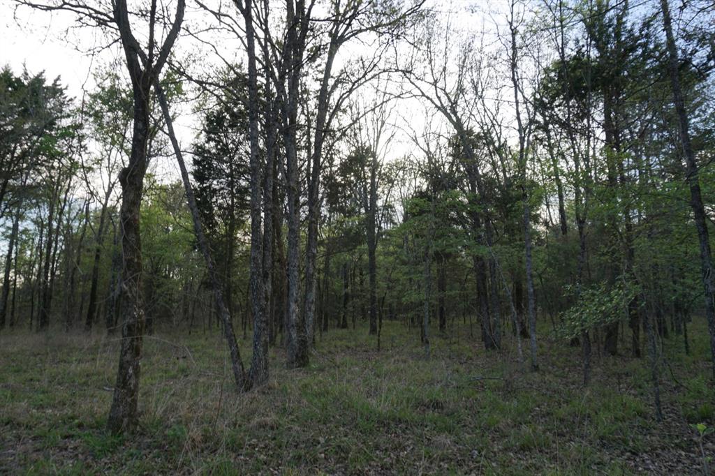 Forest Grove Sub Ph 1 - Land