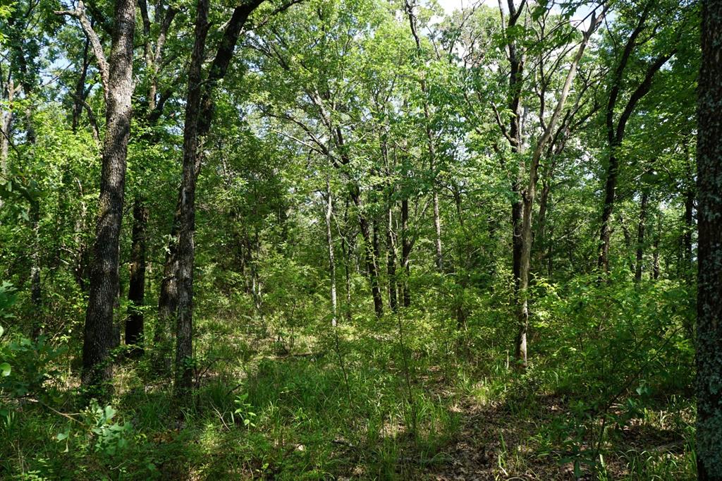 Forest Grove Sub Ph 1 - Land