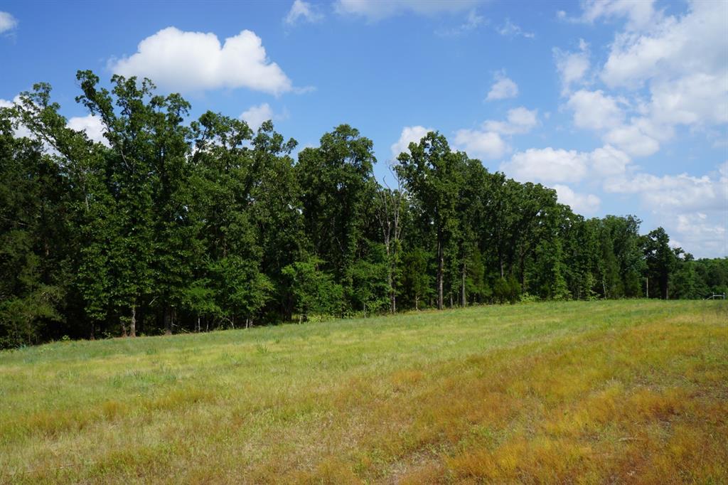 Forest Grove Sub Ph 1 - Land