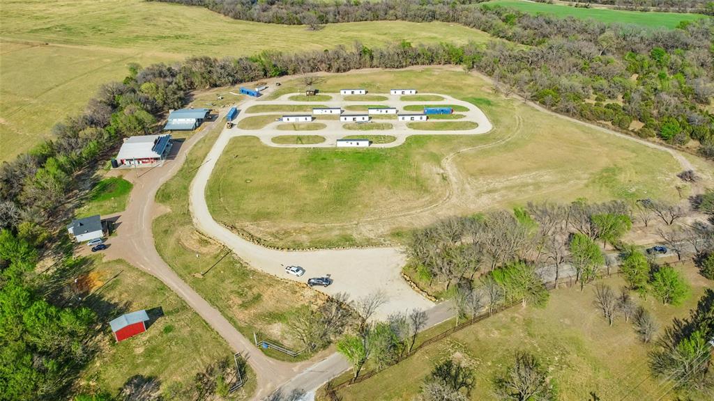 Fossil Wood - Commercial Sale