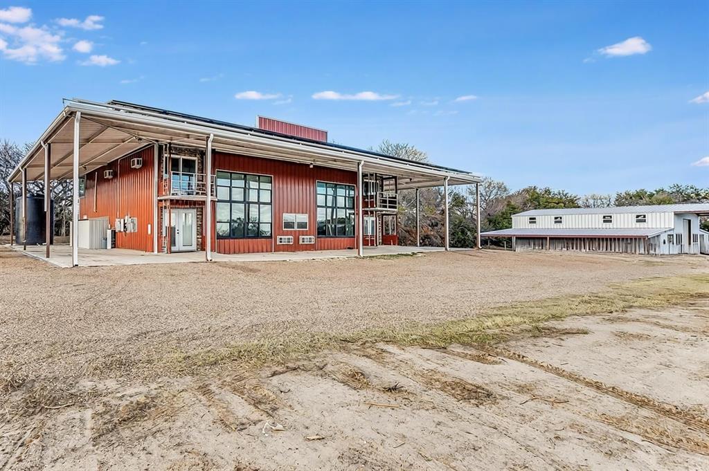 Fossil Wood - Commercial Sale