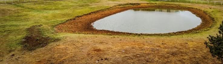 Eli Thompson Surv Abs #1191 - Land