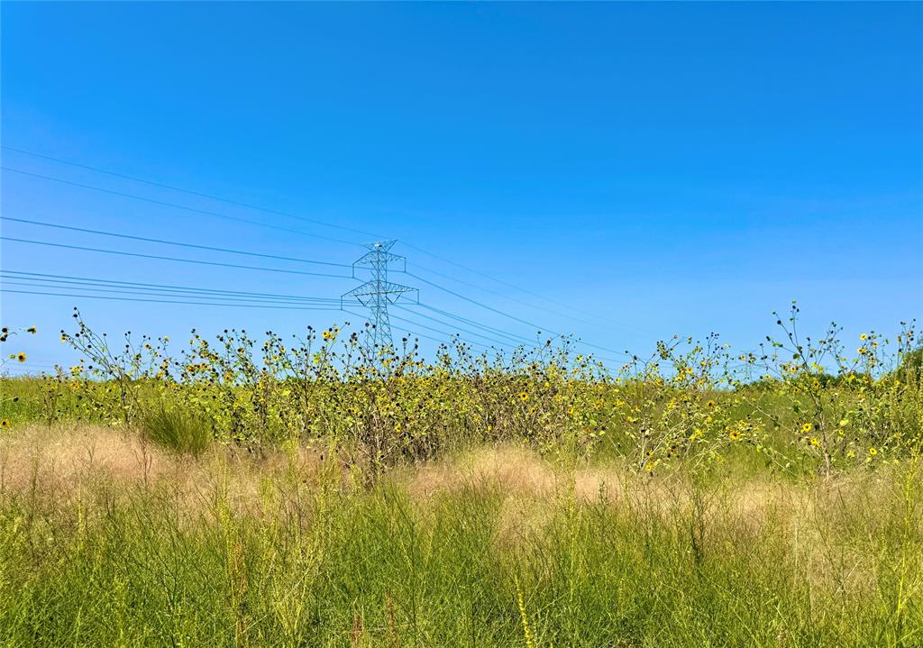 Rolling Ridge - Land