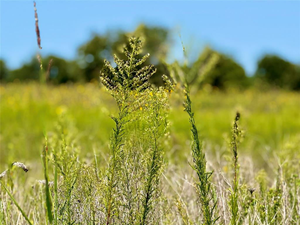 Rolling Ridge - Land