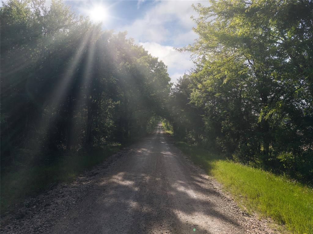 455 County Road 3395