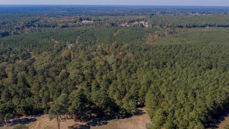Looking for a place to build your dream home? Here is 34 acres with 3 access points. Seller will split the acreage into two 16 acres plats. Schedule your private showing today.