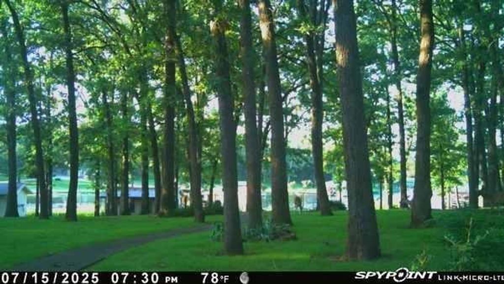 Photo of 395 County Road 1780 Road, Yantis, TX 75497 (MLS # 21203023)