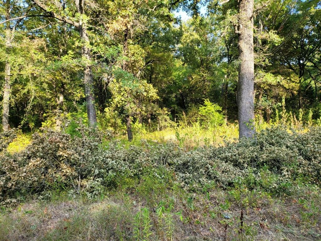 Cherokee Shores Add Sec C - Land