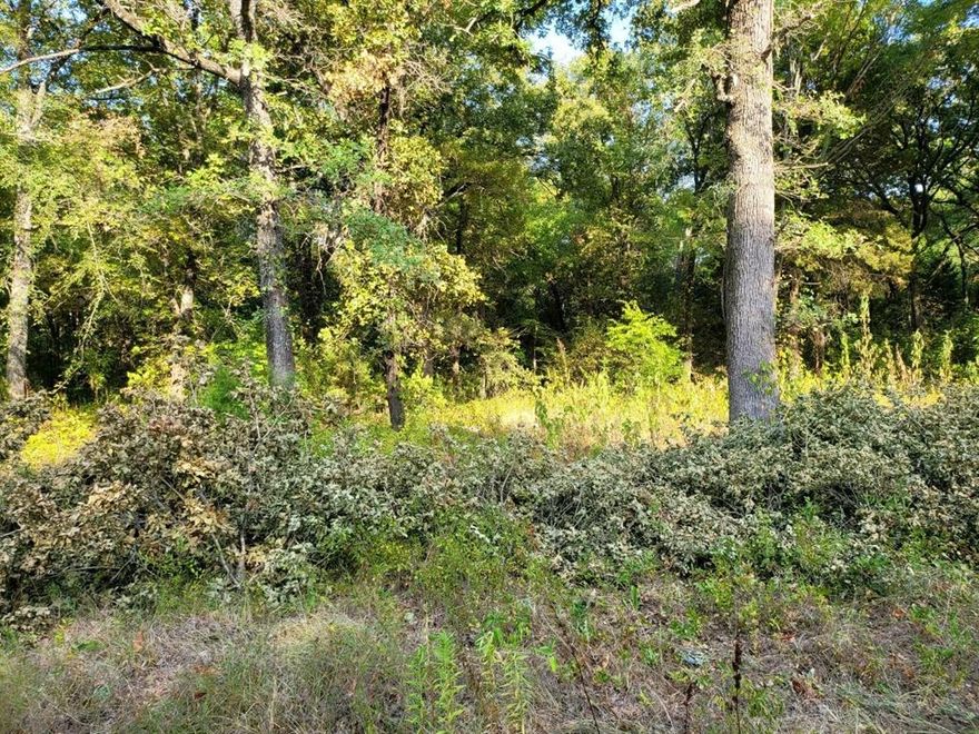 A single lot WITH WATER and SEWER would be great for a new construction home, mobile, or manufactured home. The neighborhood offers multiple boat ramps for lake access, a community swimming pool, tennis courts, and a walking or jogging path. Won't last long at this price. May be purchased with 115 Inca for 13,600.00.