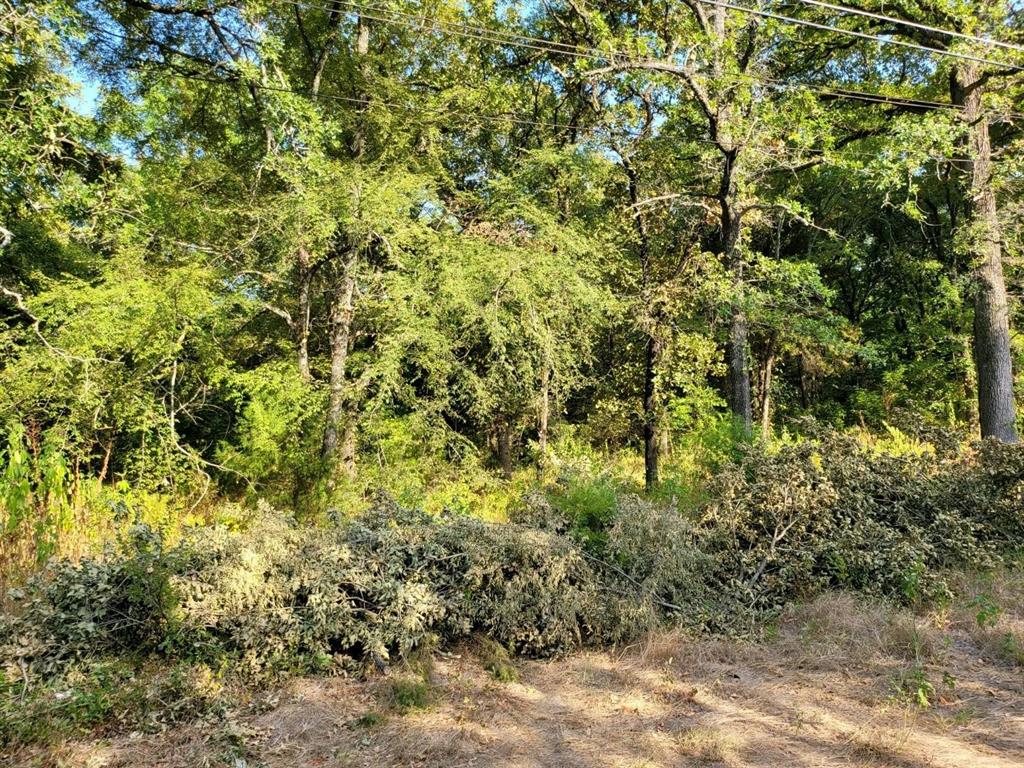 Cherokee Shores Add Sec C - Land