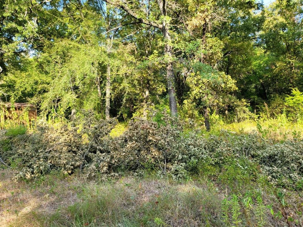 Cherokee Shores Add Sec C - Land