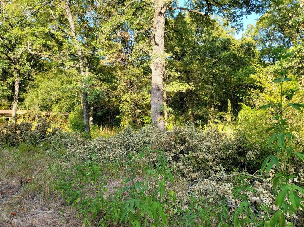 Cherokee Shores Add Sec C - Land