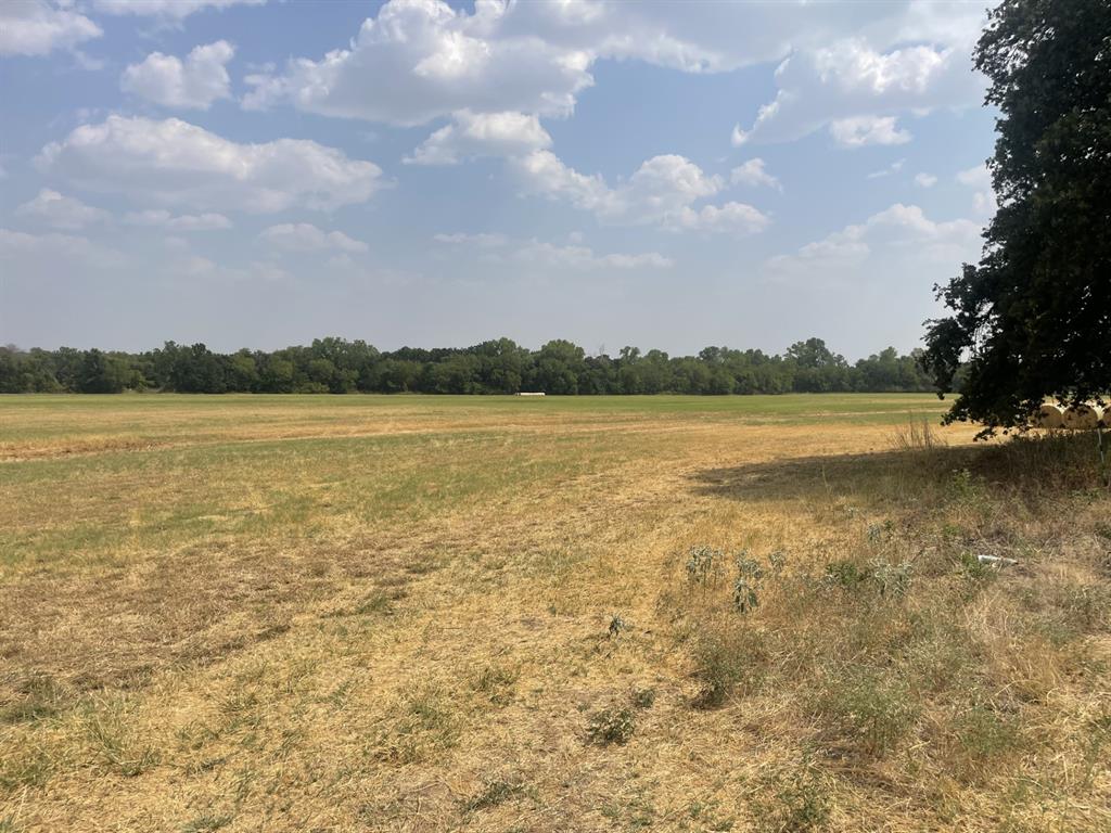 50 Acres A-705 P Ryon - Farm