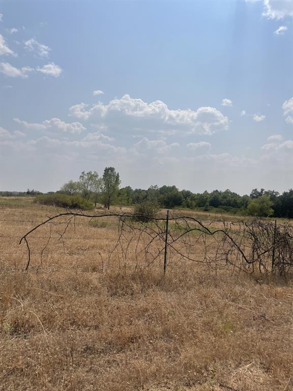 50 Acres A-705 P Ryon - Farm