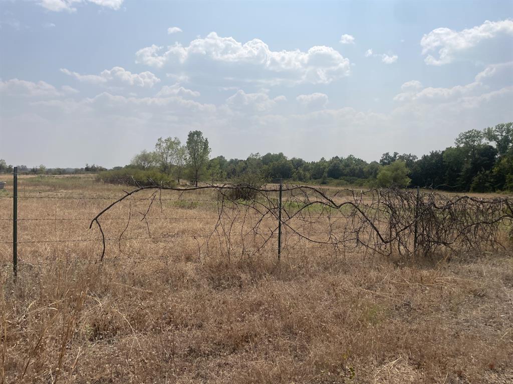 50 Acres A-705 P Ryon - Farm