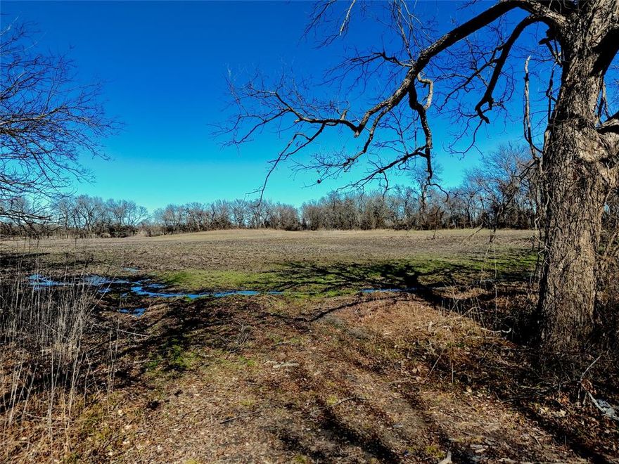 Blank canvas for your future building plans or a secluded hideaway! Located ideally between the up and coming Lake Bois D'ark and the currently under construction Lake Ralph Hall. This tract is a small acreage paradise! Gently rolling pasture surrounded by a mix of larger timber. The western boundary of the property is edged against a beautiful white rock creek. The eastern boundary is county road frontage giving lots of options for your preferred access. Very neat tract for your rural retreat.