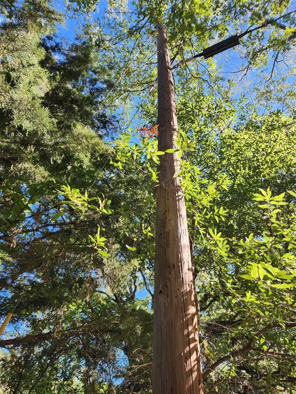 Mulberry Cove Estates - Land