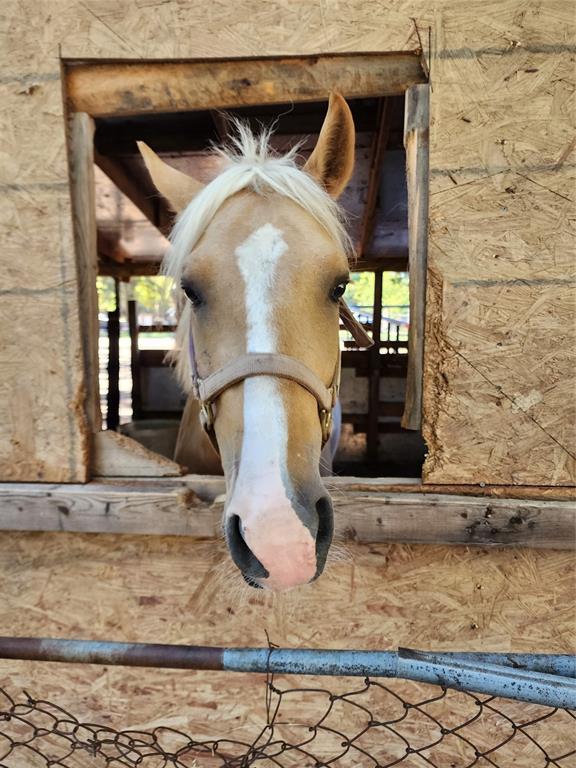 Mulberry Cove Estates - Land