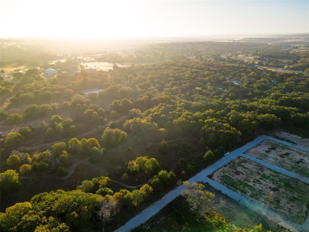 JONES A L SURV: A. L. JONES - Land