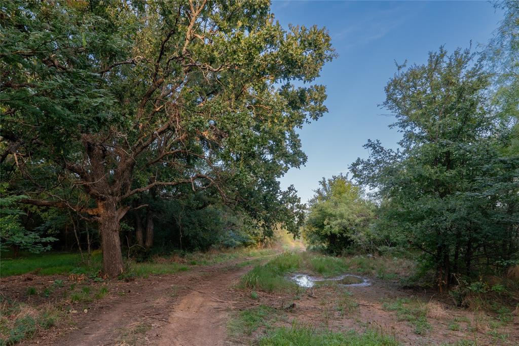 Au Springer Surv Abs #801 - Farm