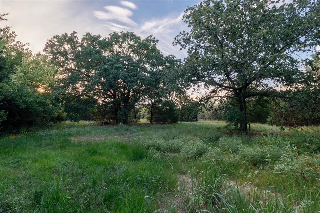 Au Springer Surv Abs #801 - Farm