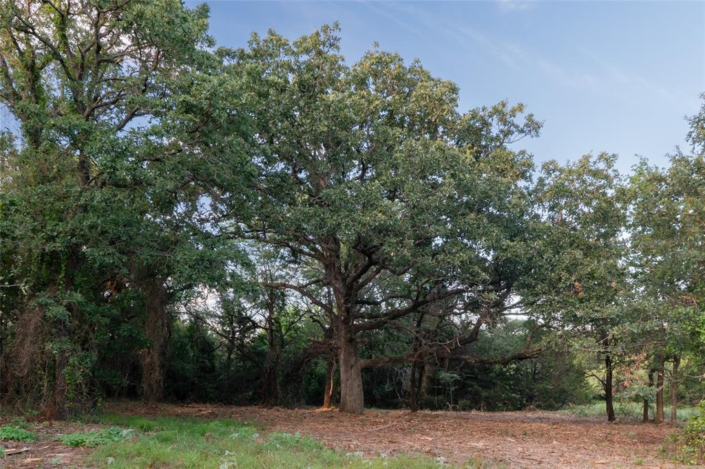 Au Springer Surv Abs #801 - Farm