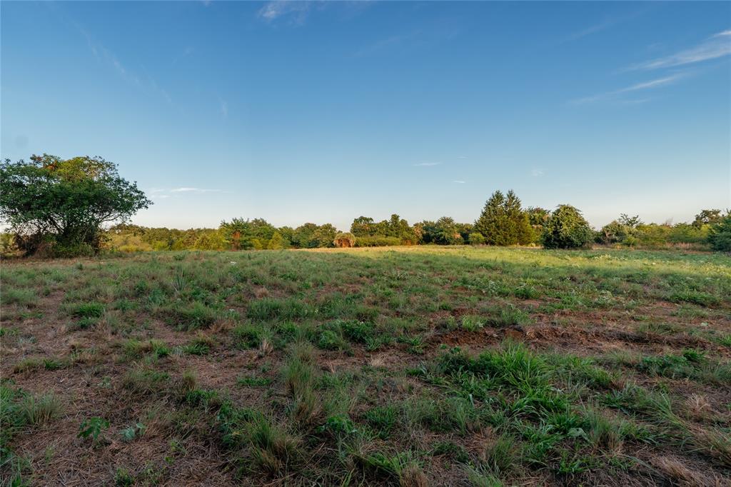 Au Springer Surv Abs #801 - Farm