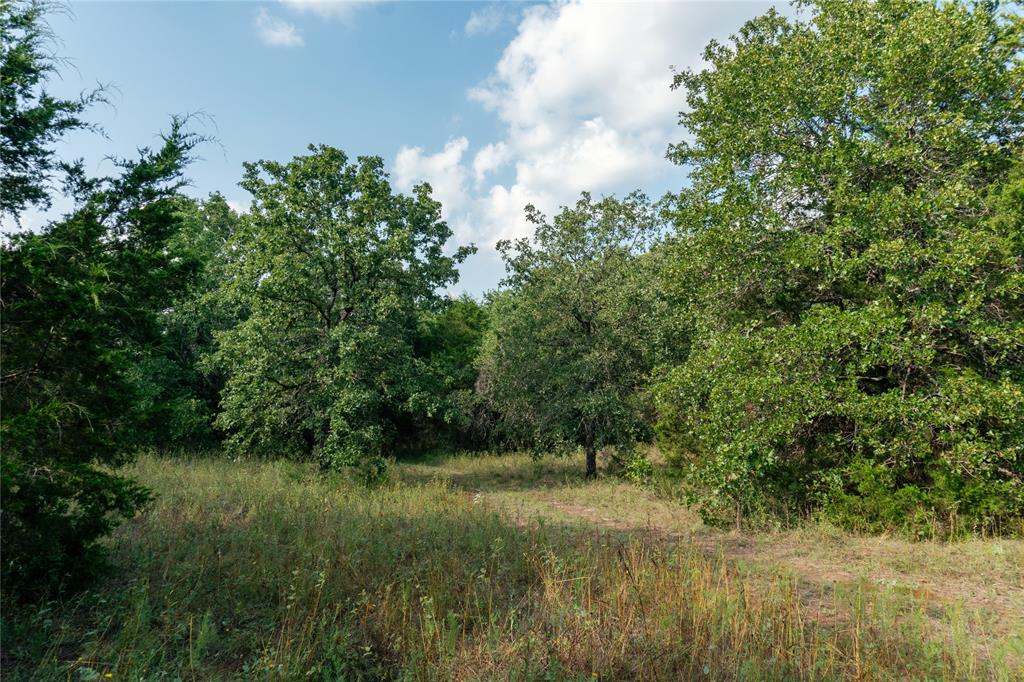 Au Springer Surv Abs #801 - Farm