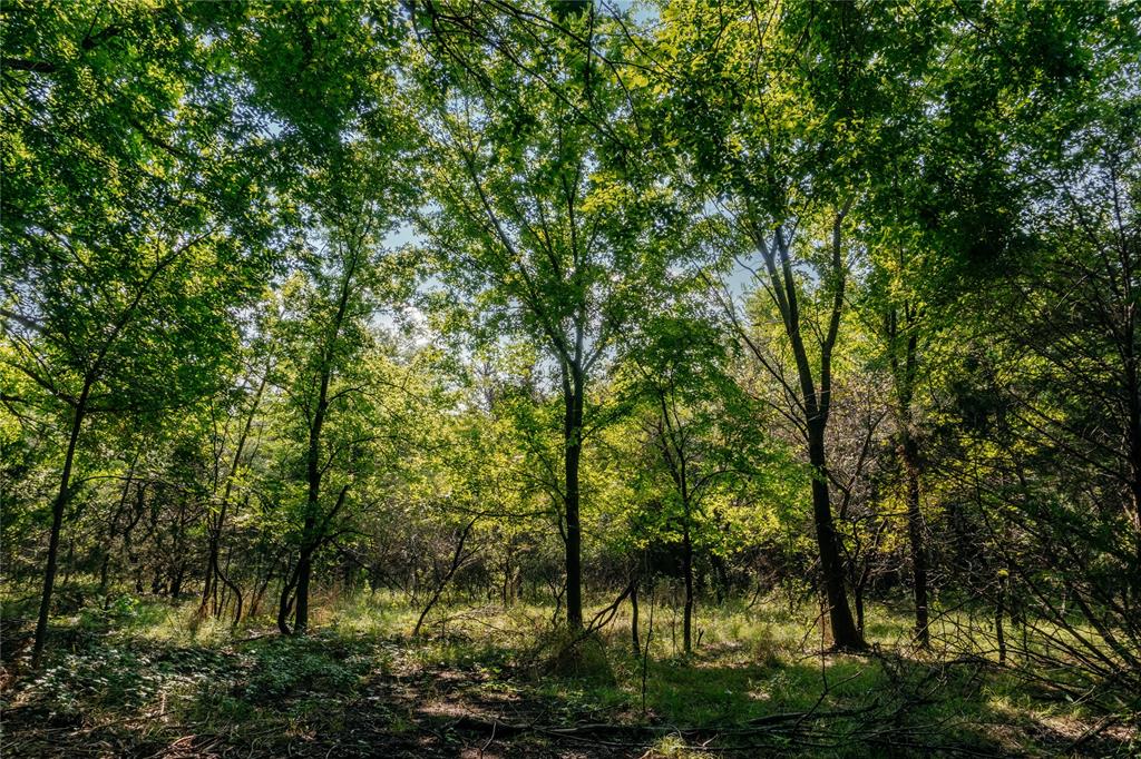 Au Springer Surv Abs #801 - Farm