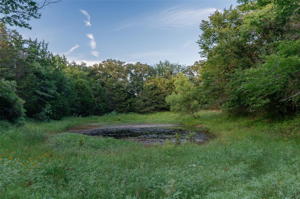 Au Springer Surv Abs #801 - Farm