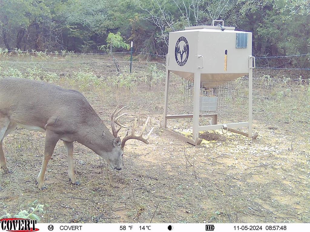 Au Springer Surv Abs #801 - Farm